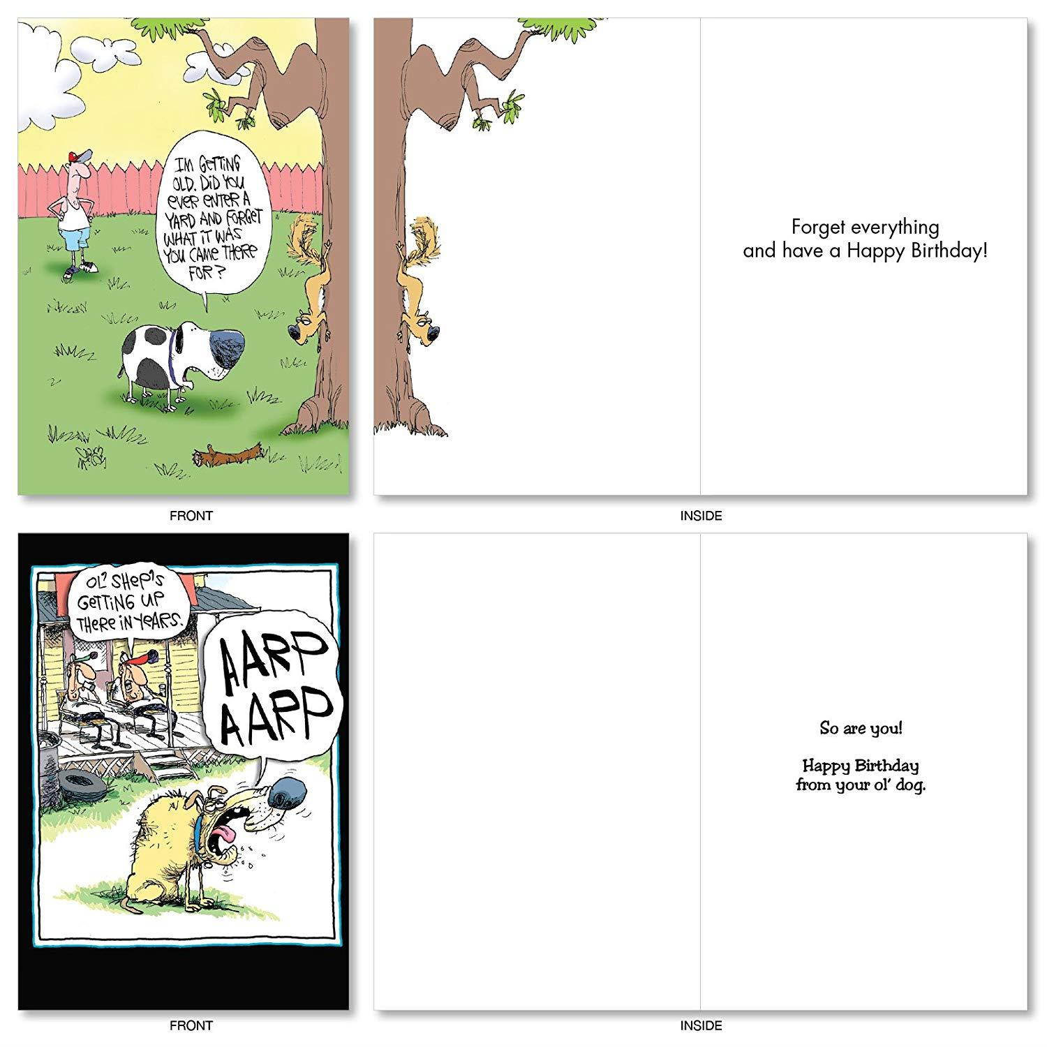 A4885BDG Dogs of McCoy Bros.: Assorted Box of Humorous Birthday Cards, w/ 12 Envelopes (10 Designs, 1 Notecard Per Design)