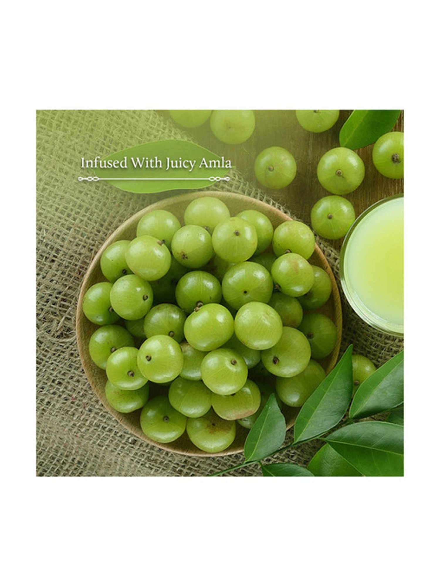 Blue Nectar Briganantadi Hair Fall Control & Healthy Scalp Oil - 100 ml