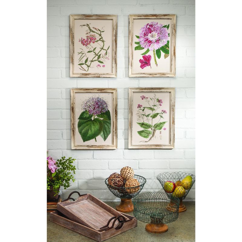 Lone Elm Studios Assorted Botanitcal Series Pink Flower Wall Art on Wooden Frame (Set of 4)
