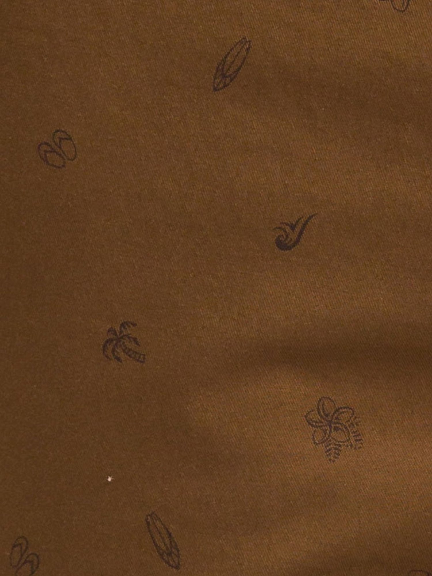 ColorPlus Brown Contemporary Fit Printed Shorts