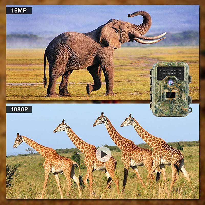 Trail Camera 2021 16MP 1080P 100ft 03s Trigger Waterproof Scouting Hunting Game Cameras with Infrared Night Vision Motion Activated Security Camera for Wildlife Deer Game Trail by
