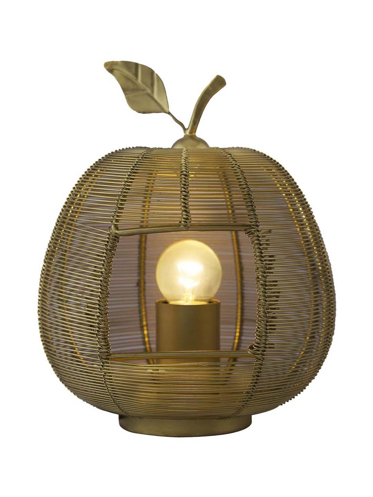 Homesake Golden Apple Contemporary Lamp (Bulb Included) - Set of 1