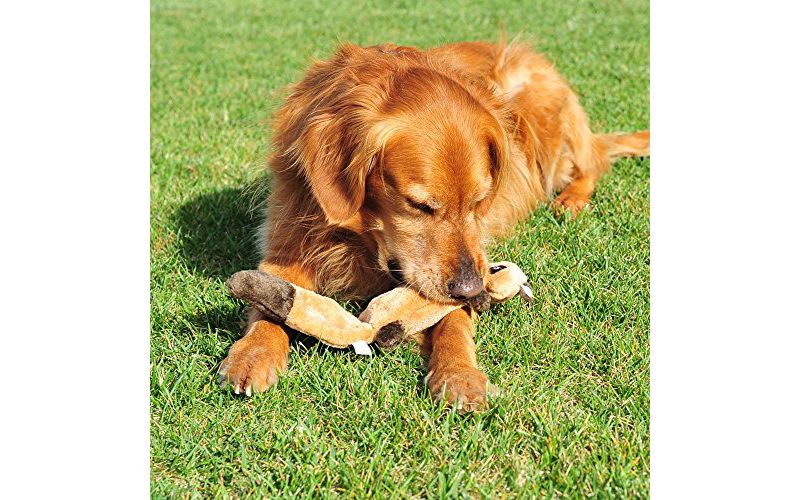 NERF Blitz Squeak Football Dog Toy - Green - 7"