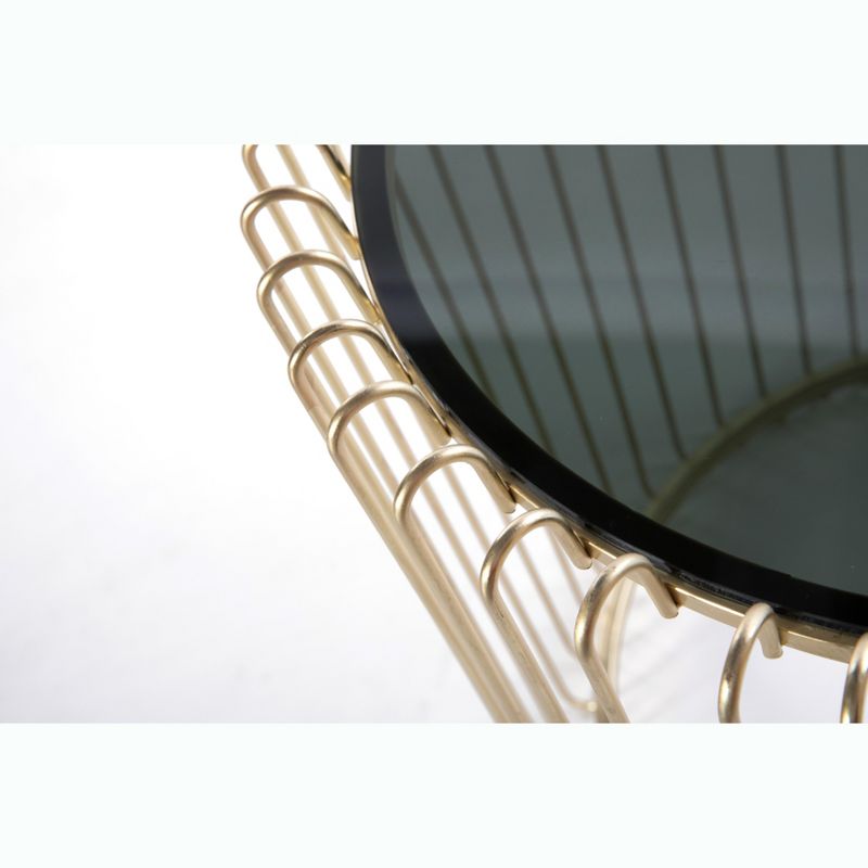 Bold Tones Set of 2 Modern Round Gold Metal End Table Set with Smoked Glass Top