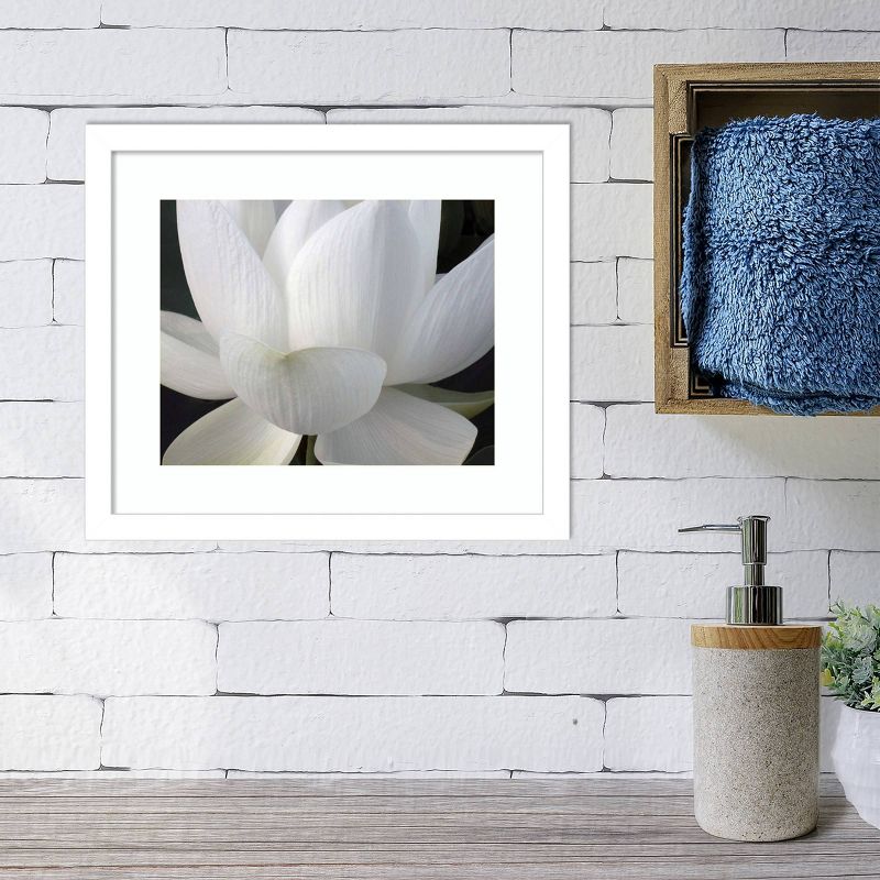 14" x 12" Delicate Lotus V by Jim Christensen Framed Wall Art Print - Amanti Art