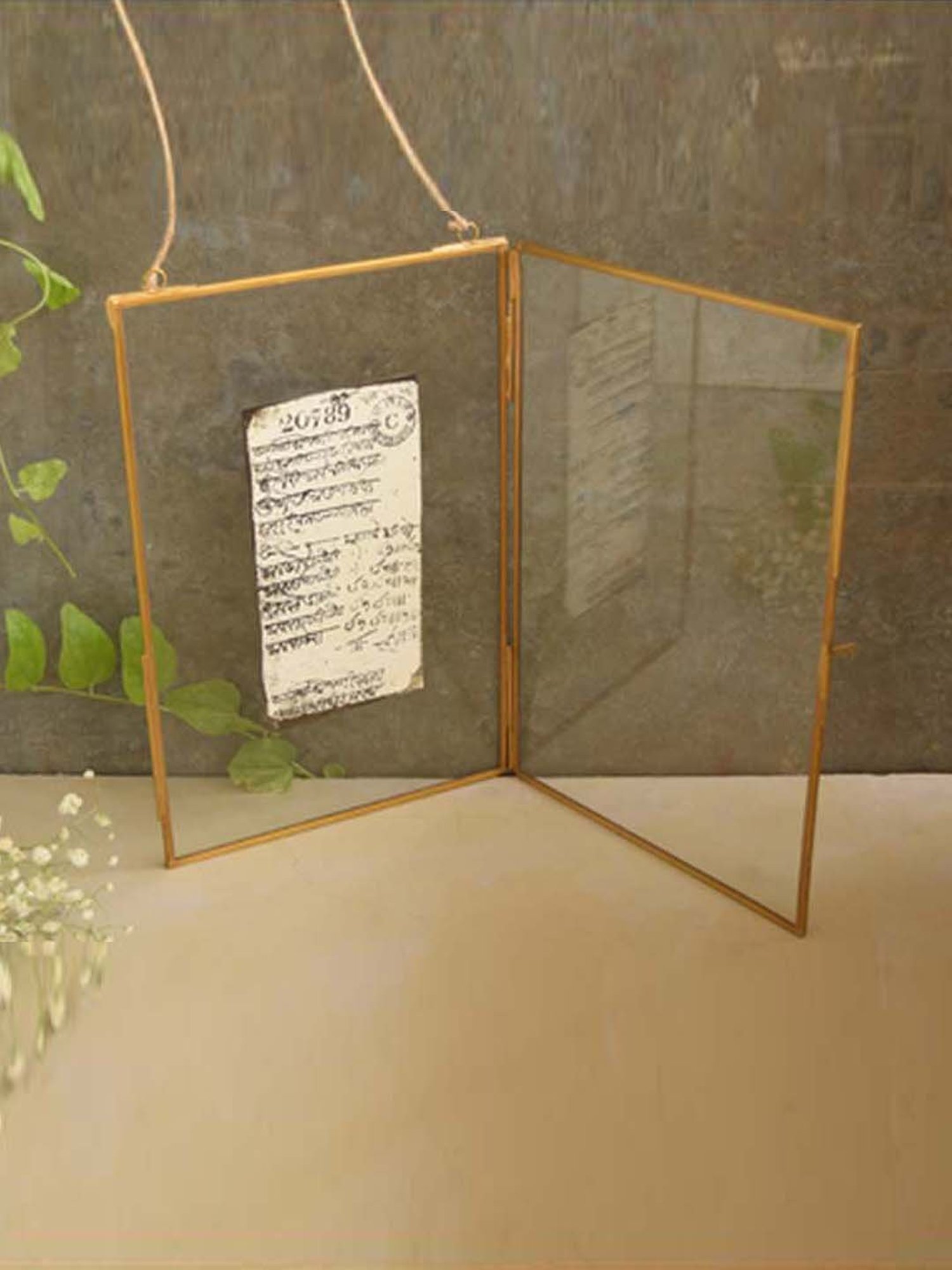 COPPRE Transparent & Golden Brass Monotone Photoframe - Set of 1