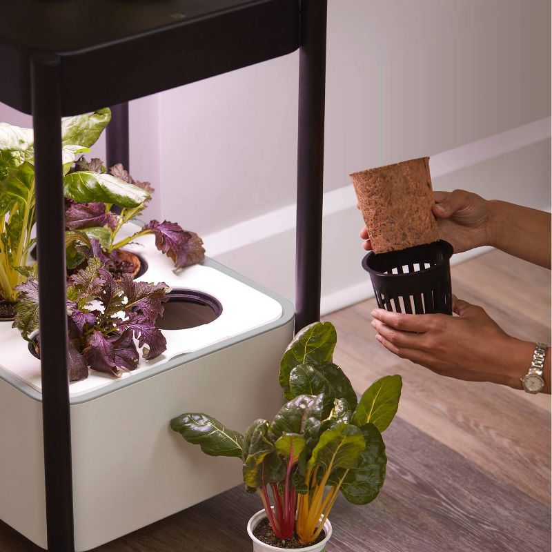 Miracle-Gro Twelve Transplanting Kit