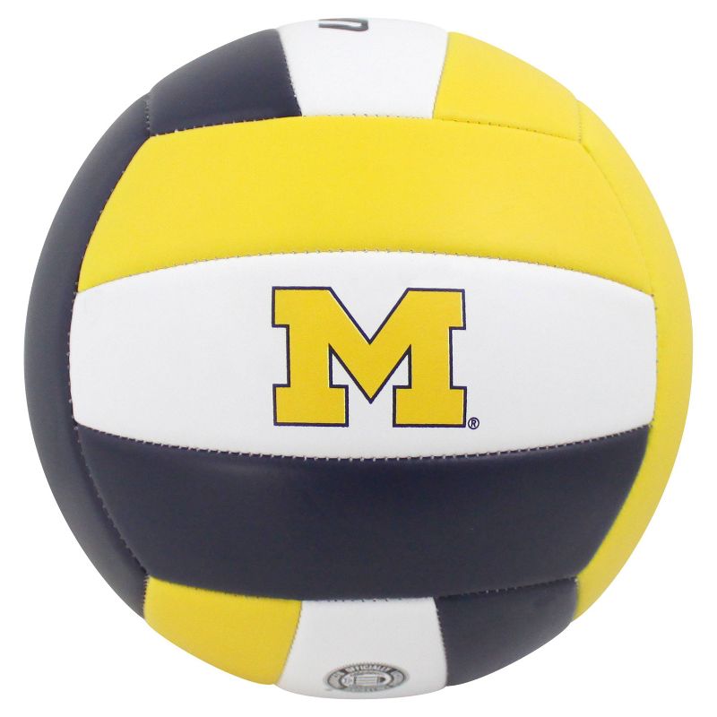 NCAA Michigan Wolverines Vintage Volleyball