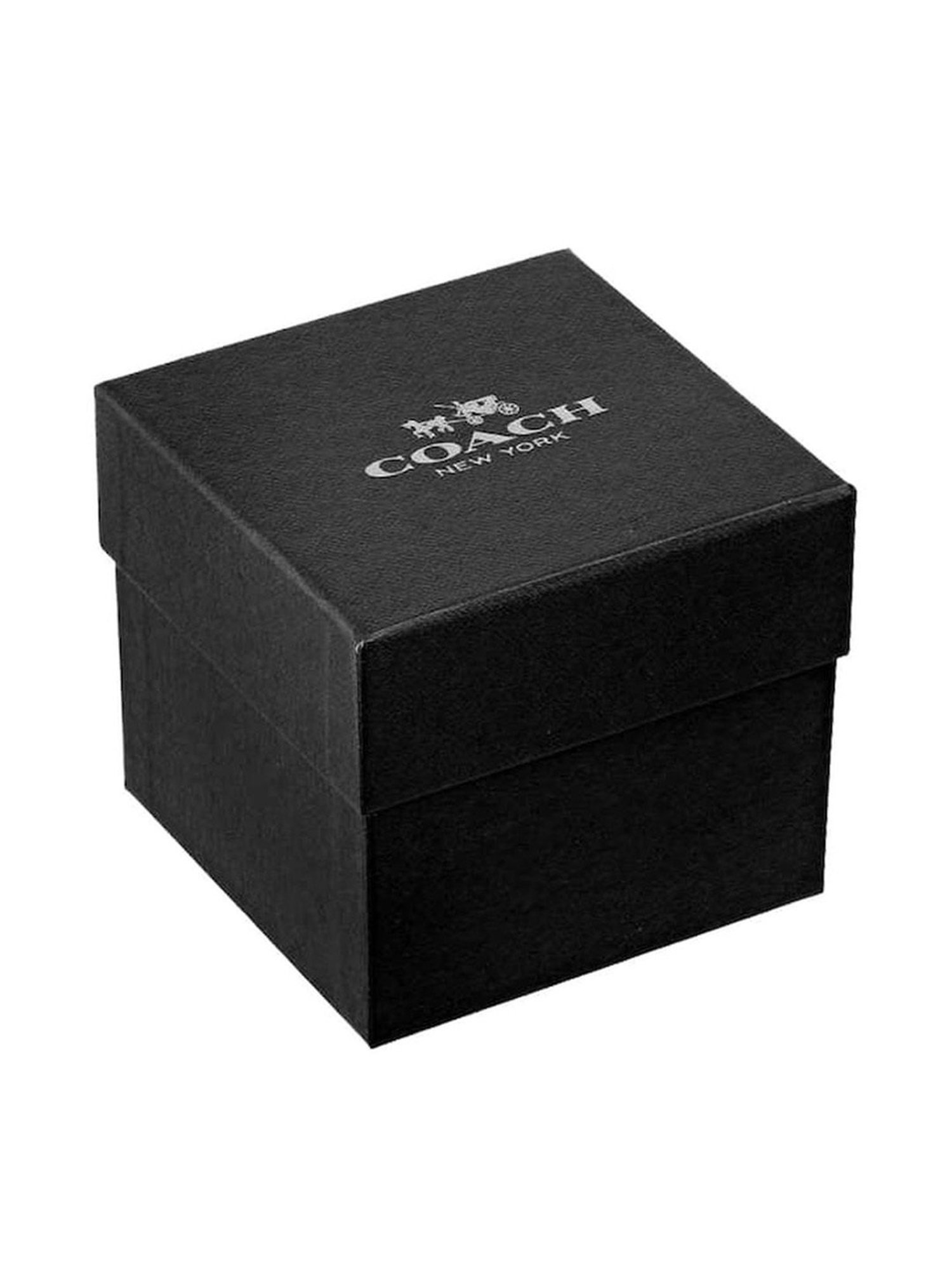 Coach NECO14504049W  Analog Watch for Women