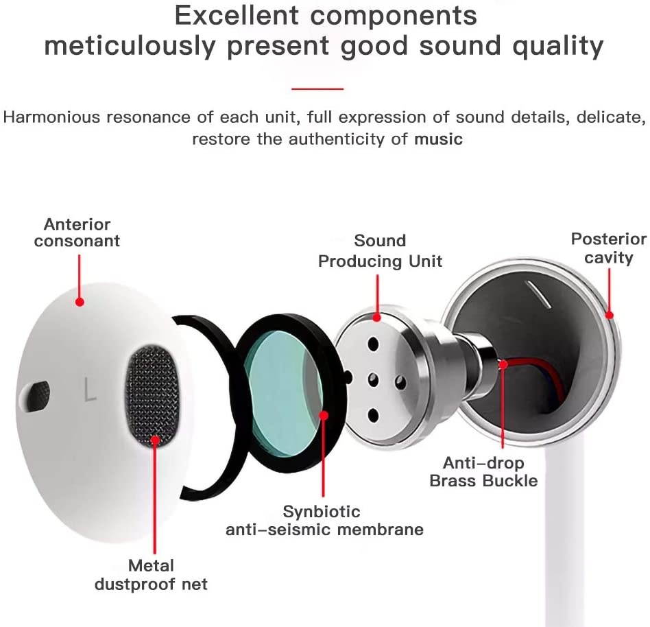 Lightning Earbuds MFi Certified Earphones Headphones with Microphone and Volume Control Noise Isolating Headset Compatible with iPhone XS/Max/XR/X/8/Plus/7 and iOS 10/11/12(White)