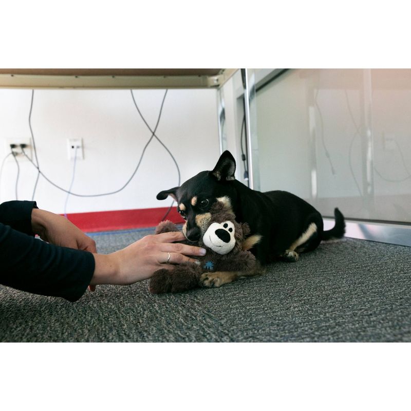 KONG Wild Knots Bear Dog Toy - Brown - XS