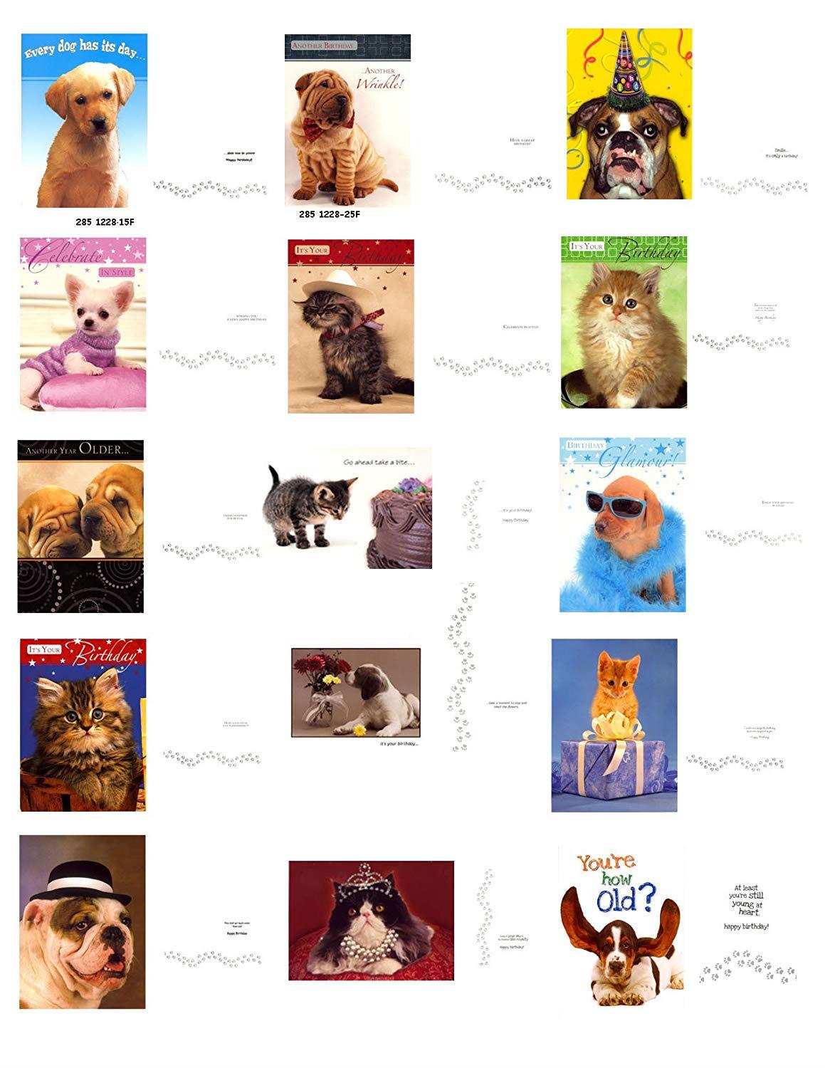 BULK SAVINGS-40 HIGH QUALITY CARDS FOR ALL OCCASIONS AT A GREAT PRICE-STYLES MAY VARY-PERFECT FOR MOM,DAD,SISTER,BROTHER,AUNT,UNCLE, COUSIN,GRANDCHILDREN,GRANDMA,GRANDPA,WIFE, AND RELATIVES