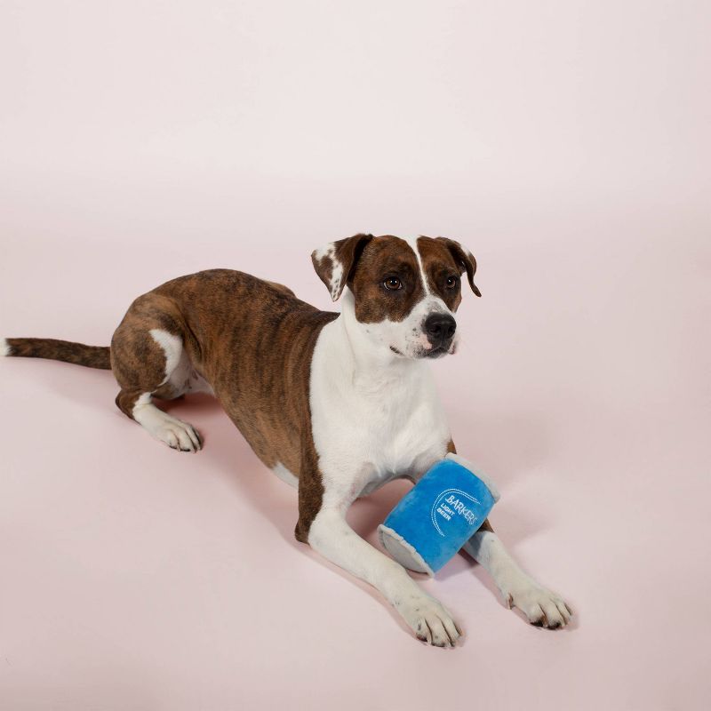 PetShop by Fringe Studio Barkers Light Beer Dog Toy