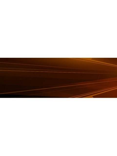 Universal Home and car charging Set Nintendo DS, New 3DS XL, 3DS, 3DS XL, DSi & DSi XL, DS Lite and PSP