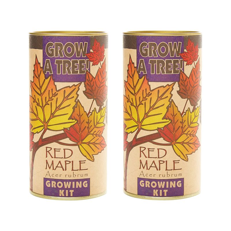 2pk Red Maple Seed Grow Kit - The Jonsteen Company