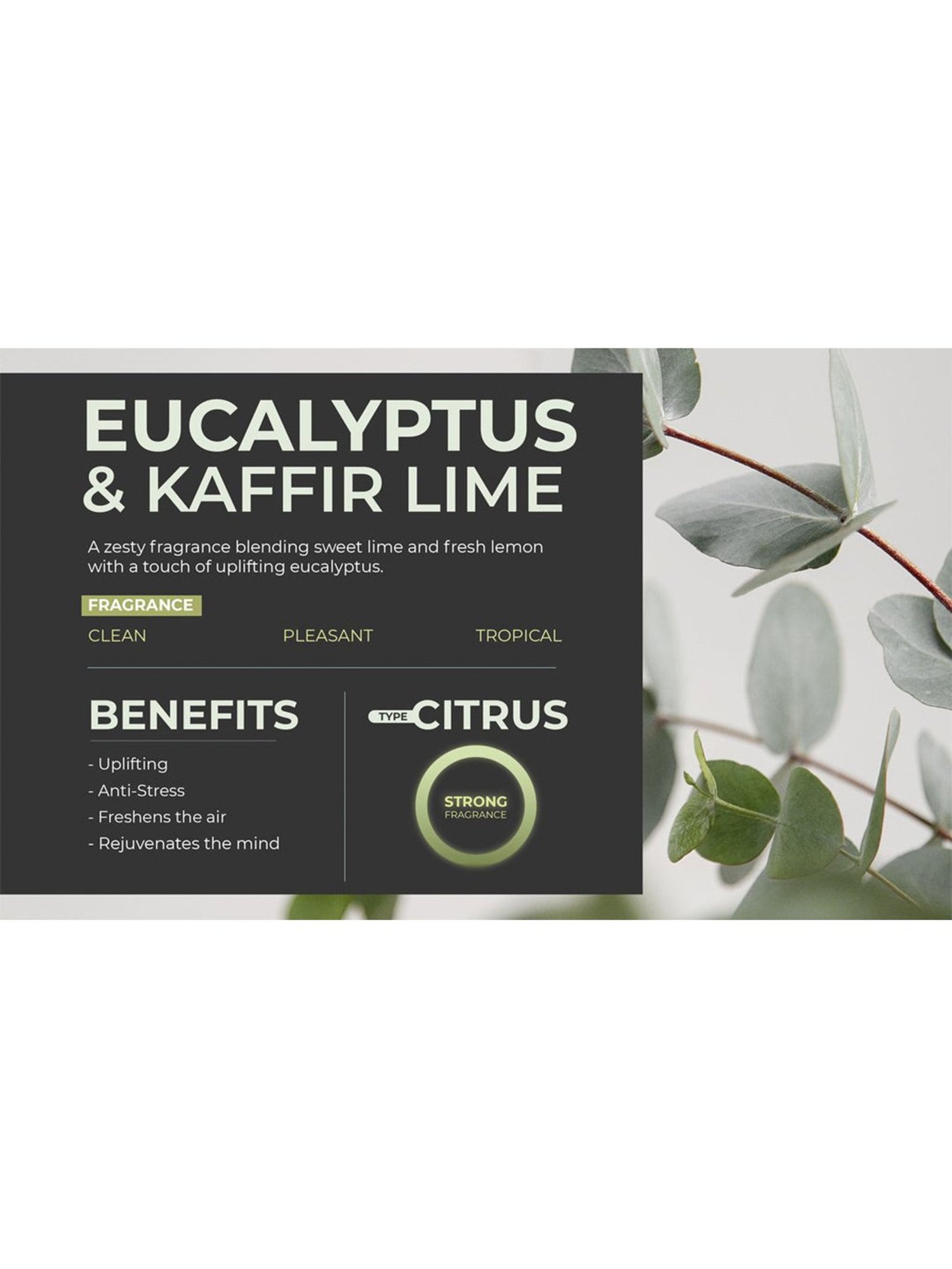 Scented Reed Diffuser Refill Oil Eucalyptus & Kaffir Lime 1 Litre