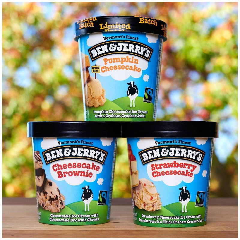 Ben & Jerry's Strawberry Cheesecake Ice Cream - 16oz