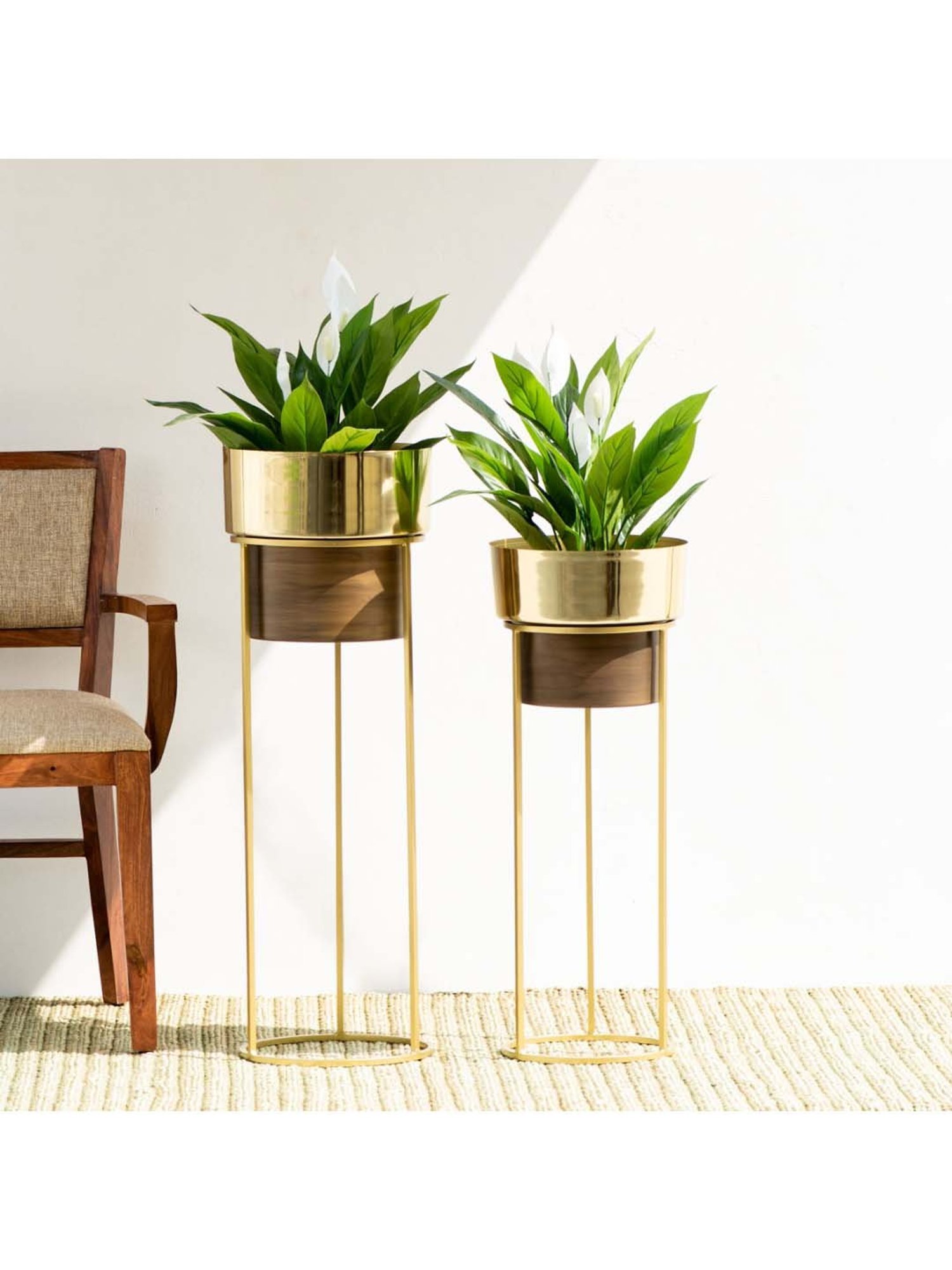 THE DECOR REMEDY Shiny Gold & Antique Brown Iron Isabella Planter with Stand - Set of 2