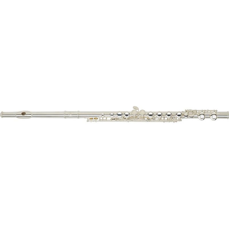 Allora AFL-250 Student Series Flute Offset G C-Foot