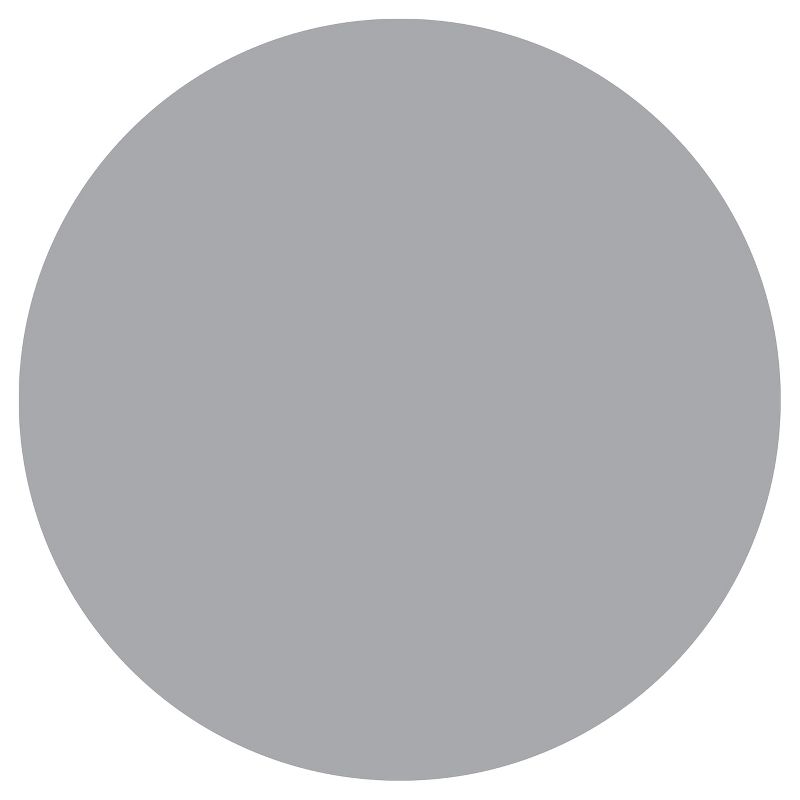 Wall Pops!  Dry Erase Board Circle Decals 13" 6ct - Silver