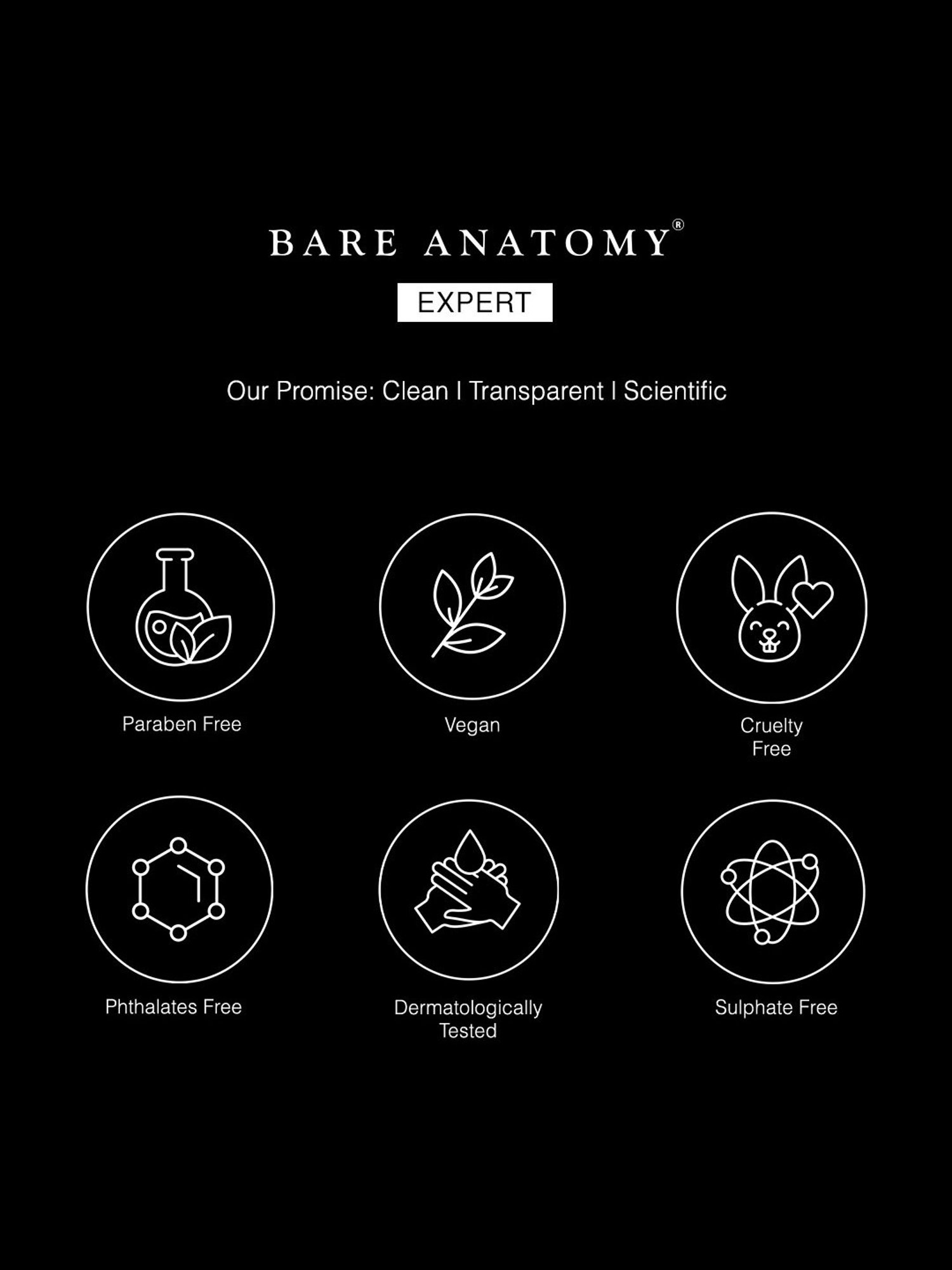 Richfeel Brahmi Intensive Repair Hair Pack - Pack of 4