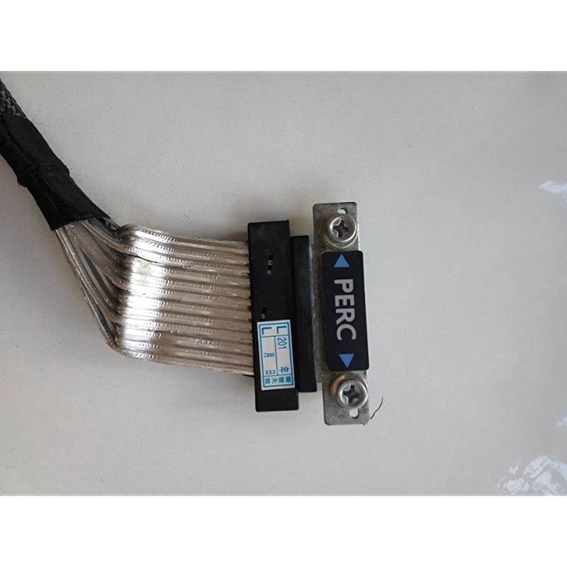 1n2wk 01n2wk Dual Mini SAS Cable for R63050cm