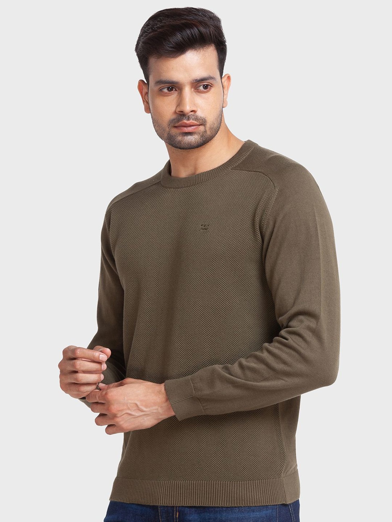 ColorPlus Green Cotton Tailored Fit Texture Sweaters