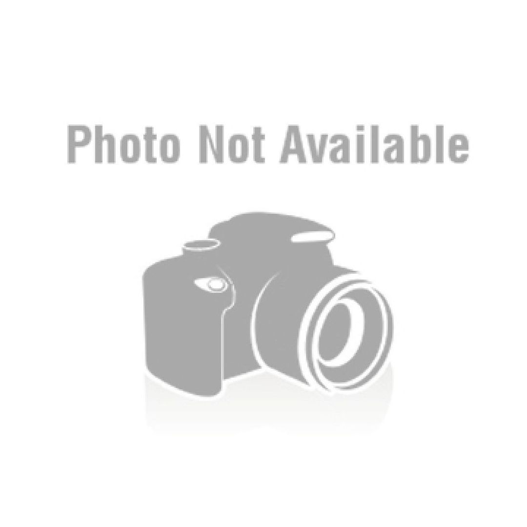 Astro Pneumatic Tool Co. AO608PT Pistol Grip Punch-Flange Tool 8MM