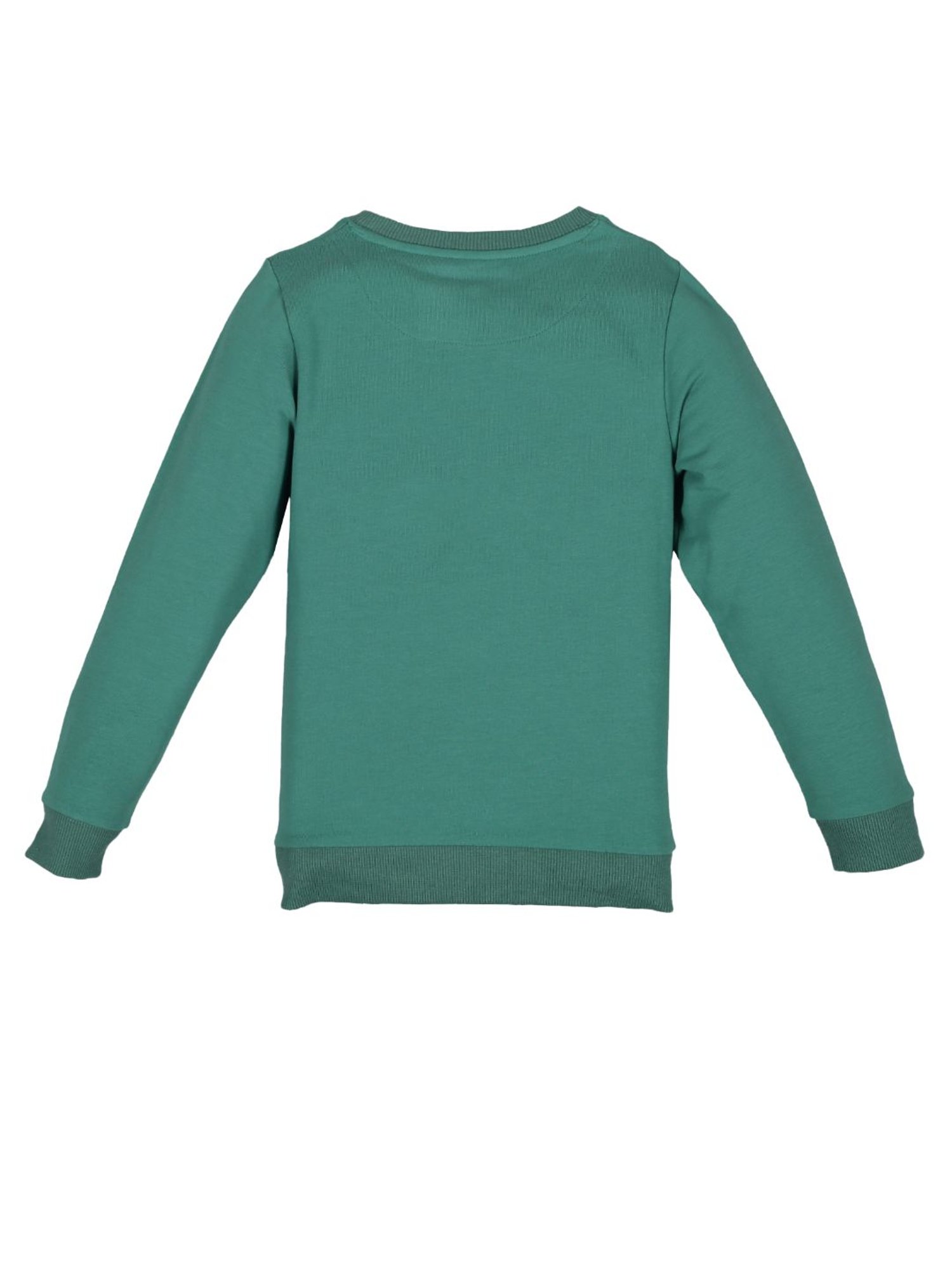 Plum Tree Kids Green Printed  Sweatshirt