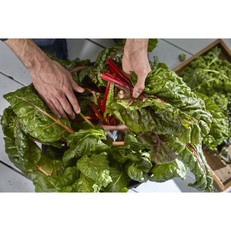 Root Farm All-Purpose LED Grow Light