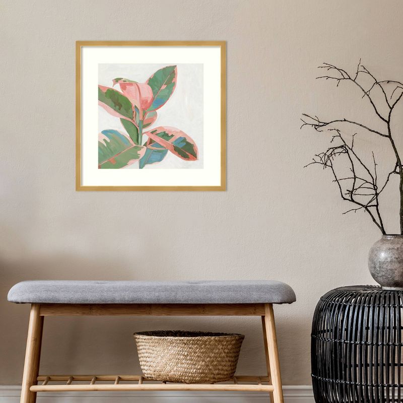 21" x 21" Ficus I by Asia Jensen Framed Wall Art Print Pink - Amanti Art