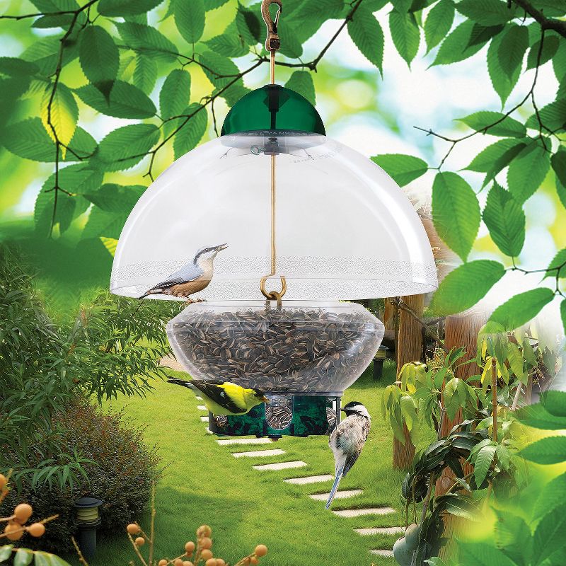 Droll Yankees Big Top Bird Feeder - Green