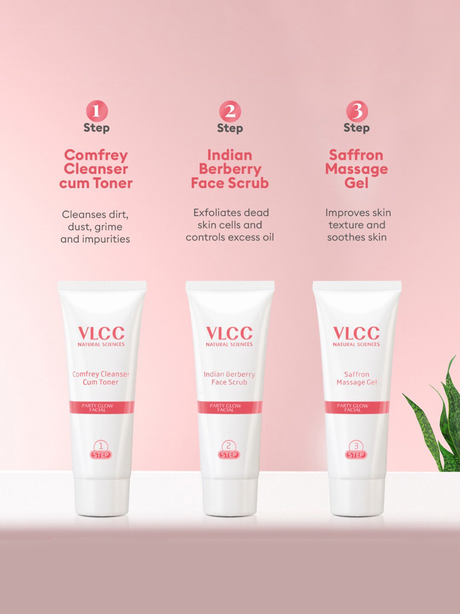 Globus Naturals Papaya Facial Kit