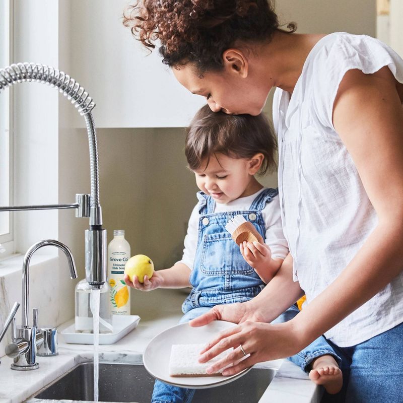 Grove Co. Ultimate Dish Soap Refill in Aluminum Bottle - Lemon & Eucalyptus - 16 fl oz