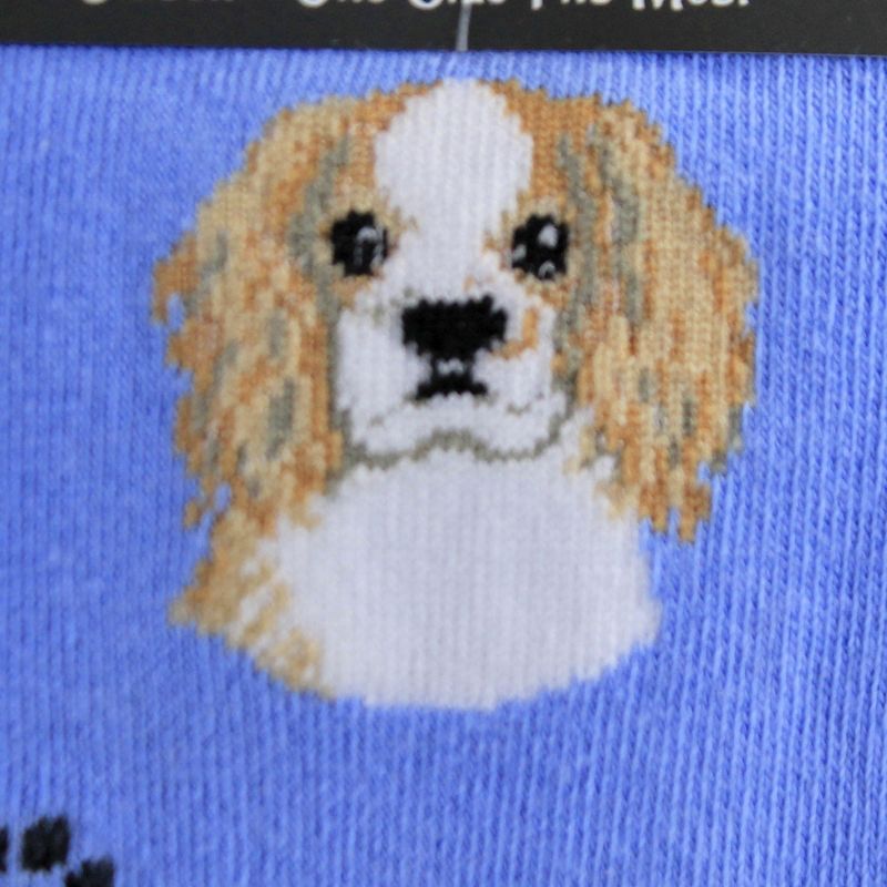 Novelty Socks 15.25" King Charles Cavalier Socks Premium Quality E & S Pet  -  Socks