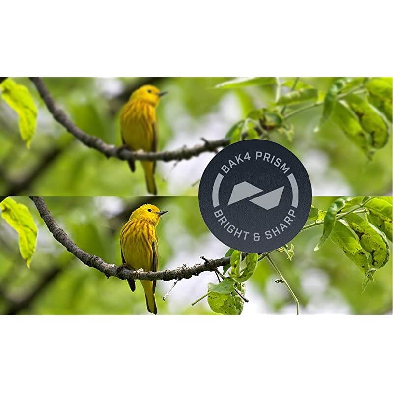 Engage Binoculars, Matte Black