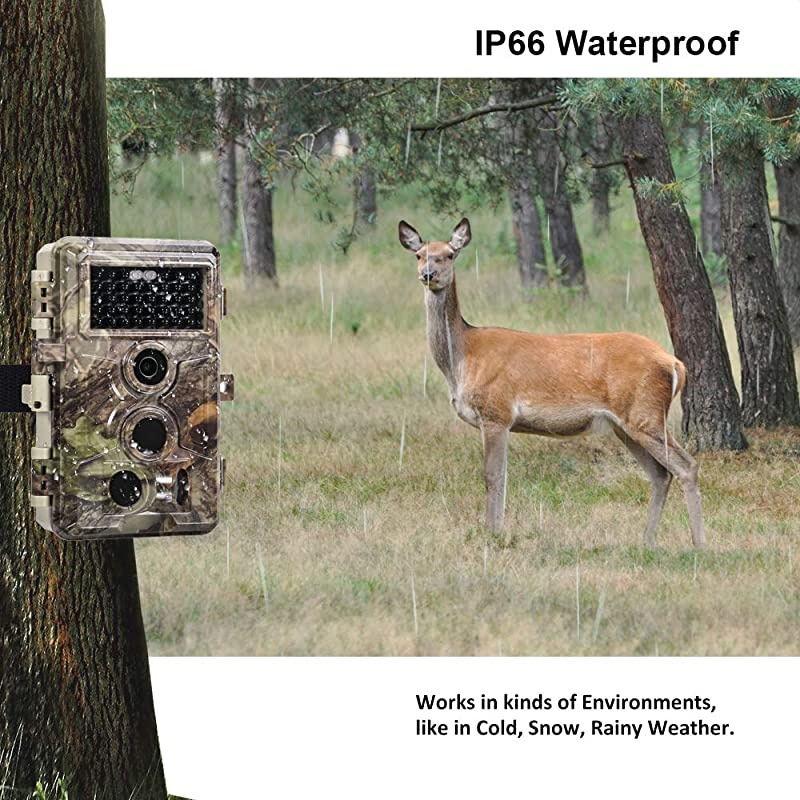 Trail Camera 16MP 1080P Game Camera with No Glow Night Vision Up to 65ft 02s Trigger Time Motion Activated 24quot Color Screen Waterproof Wildlife Hunting Camera