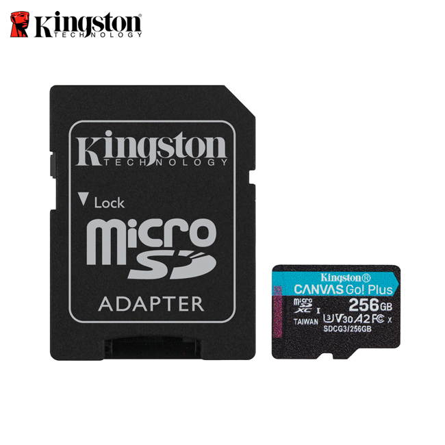 256GB MICROSDXC CANVAS GO PLUS 170R A2