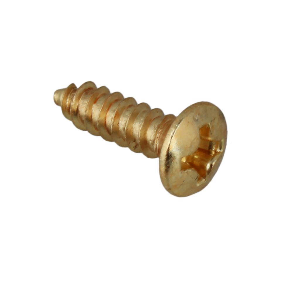 BQLZR 500Pcs Gold Color Electric Guitar Pickguard Back Plates Mounting Screws