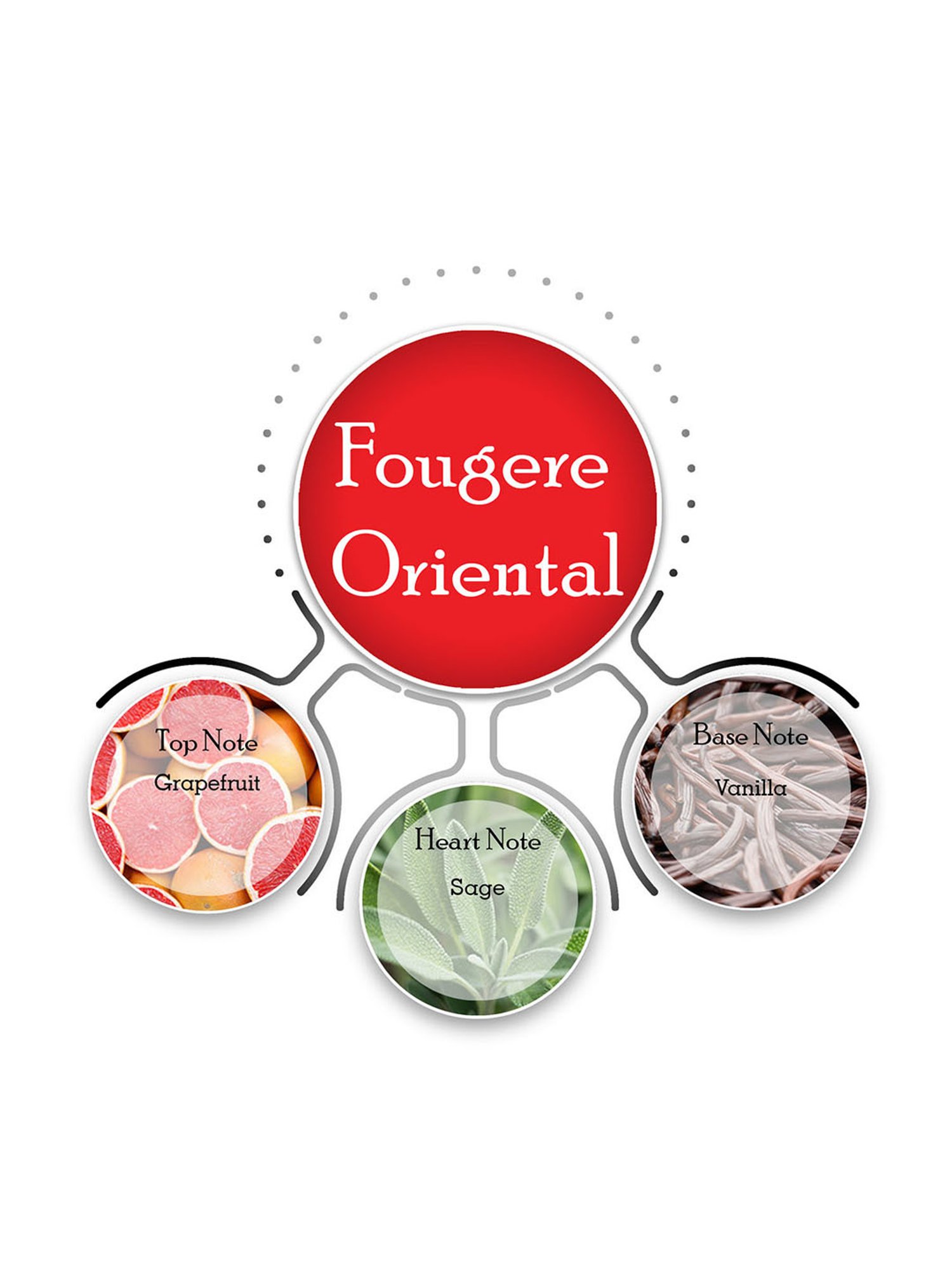 THE REAL MAN Beard Growth Oil 100 Percent Organic Beard & Moustache Hair Growth Oil - 50 ml