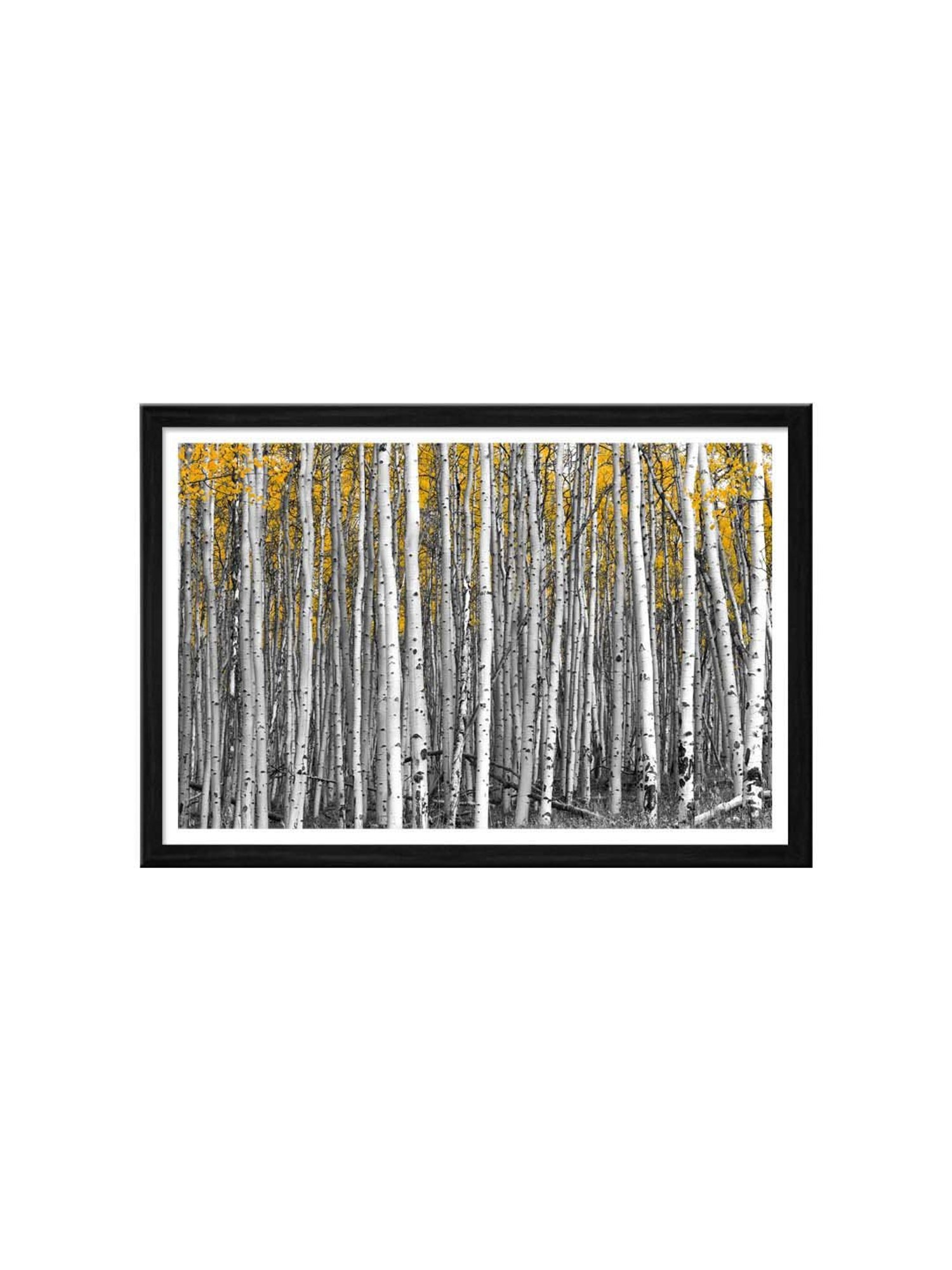 999store Grey & Yellow Trees Forest Canvas Painting
