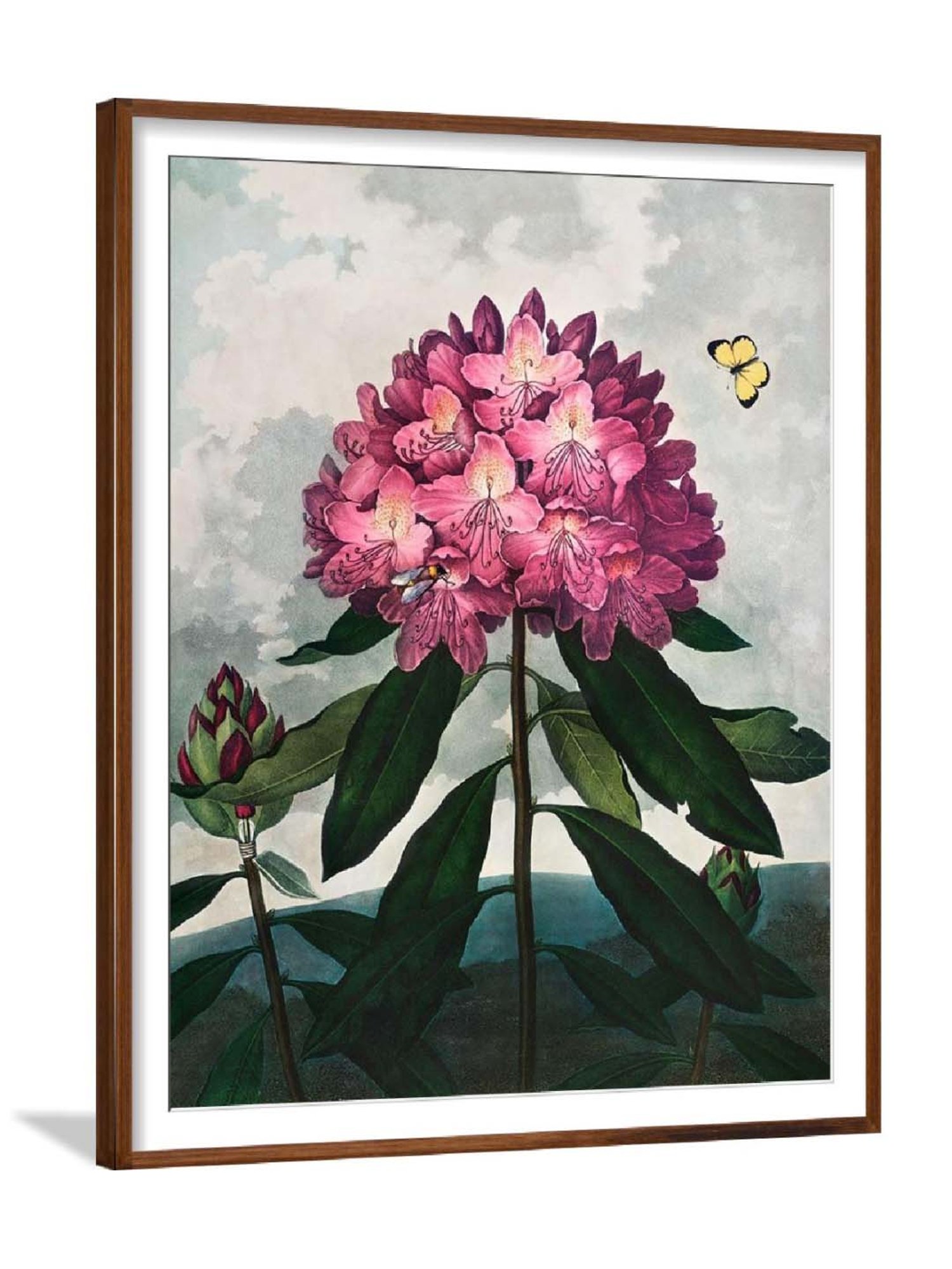 ARTE'VENUE Sacred Egyptian Bean Multicolor Paper Wall Arts - Set of 3 (13 X 16 inch Each)