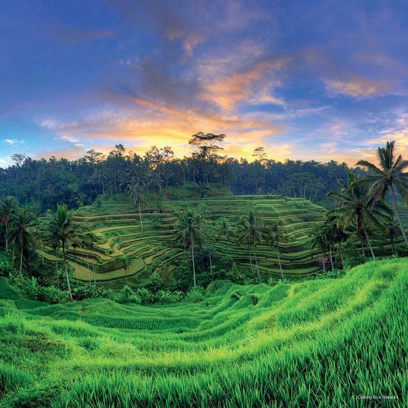 Sellers Publishing, 2021 Outlander 16-Month Wall Calendar