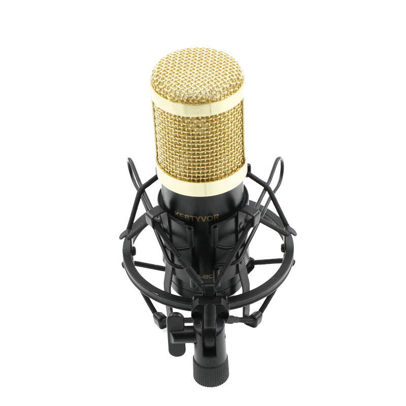 BM-800 Dynamic Condenser Sound Recording Microphone with Shock Mount for Radio Braodcasting KTV Karaoke with Shock Mount