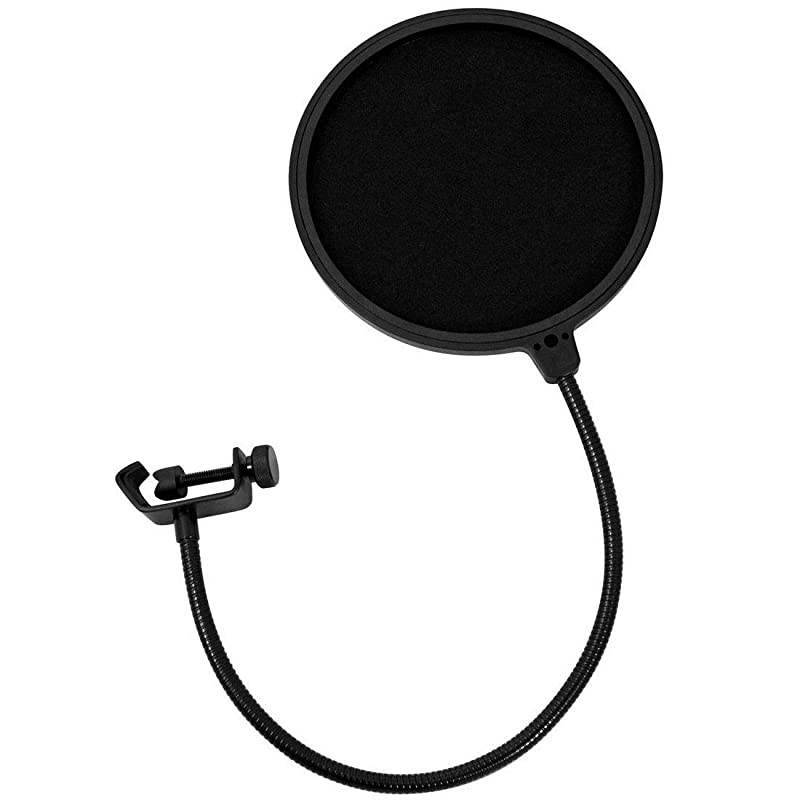 Project Studio P220 Large Diaphragm Condenser Microphone With Pop Filter and XLR To XLR Cable