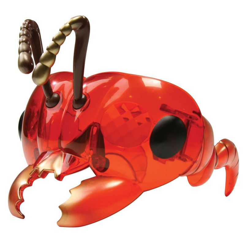 Prehistoric Sea Creatures Terrarium - Thinkbox