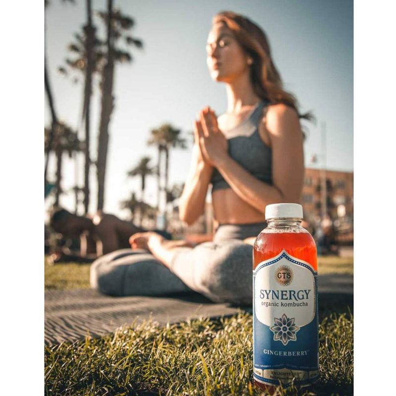 G.T.'s Synergy Gingerberry Organic Vegan Raw Kombucha - 16 fl oz Bottle