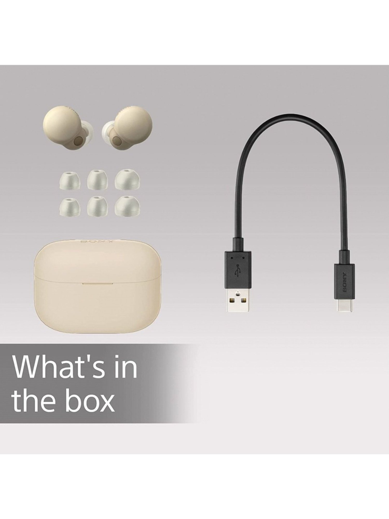 Sony WF-LS900N In Ear Bluetooth Earbuds with Noise Cancellation (Beige, True Wireless)