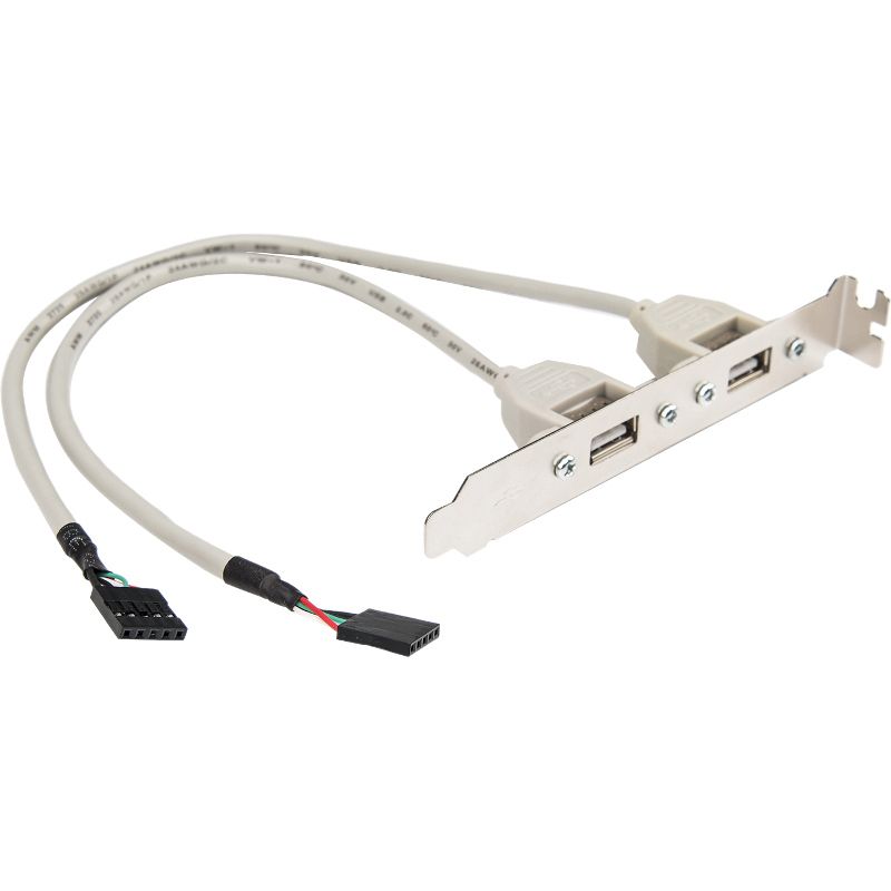 ROCSTORAGE INC. Rocstor Premium 8in 2 Port USB Type A Female Low Profile Slot Plate Adapter - 2 x USB Type A Female