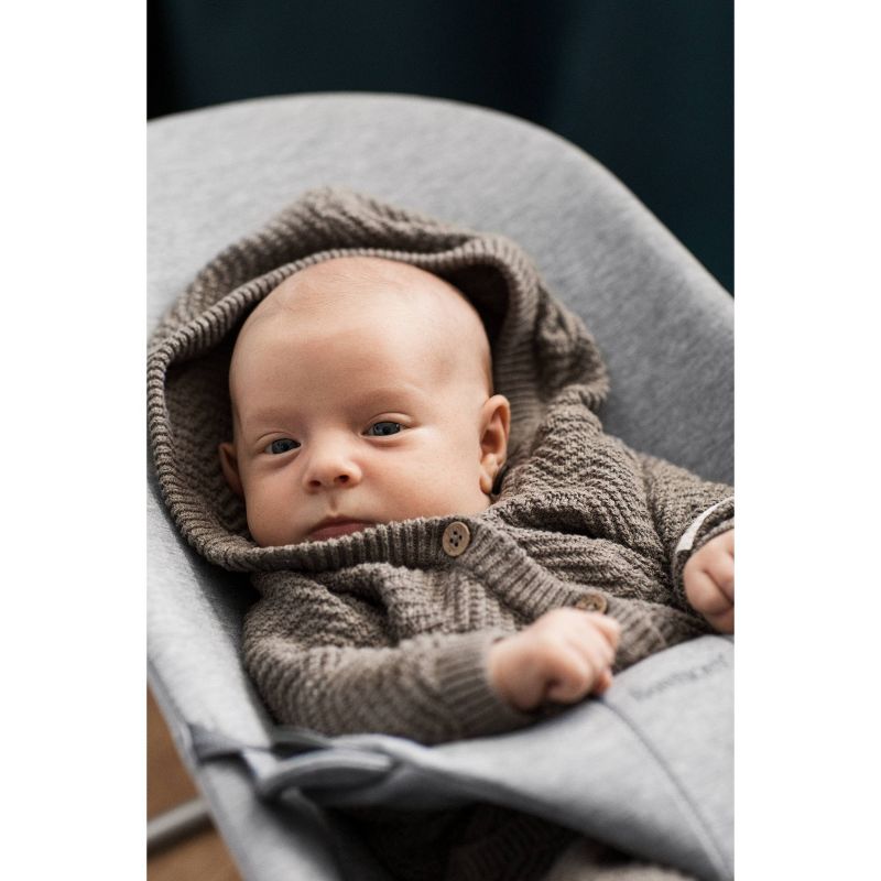 ​Fisher-Price Baby Bouncer